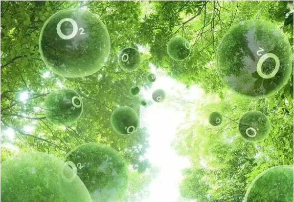 1752499469497171.png 1752499449042.png