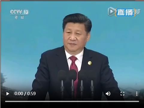 习近平电视讲话